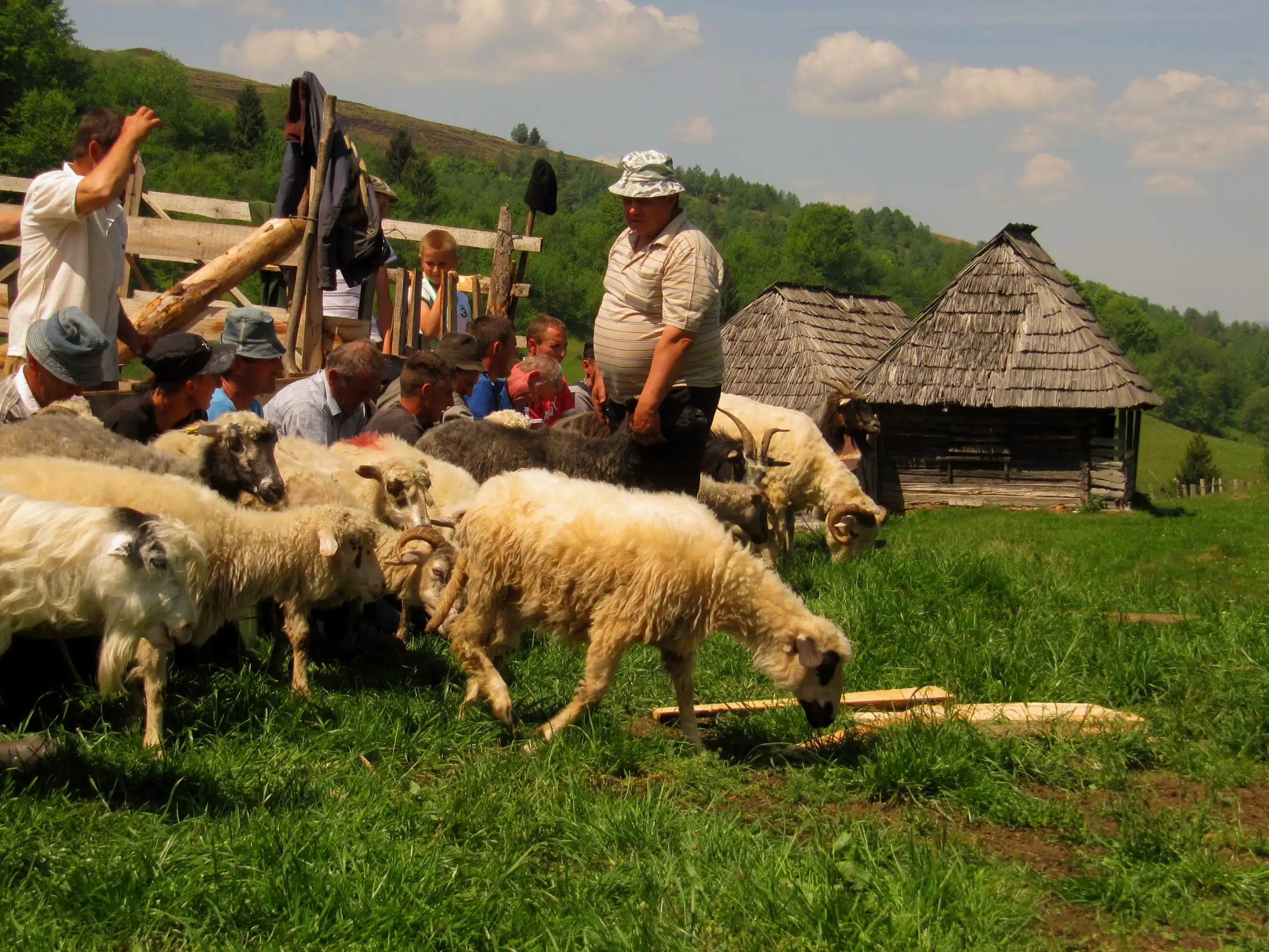 Traditat e lashta rumune - pasuri e gjallë kulturore